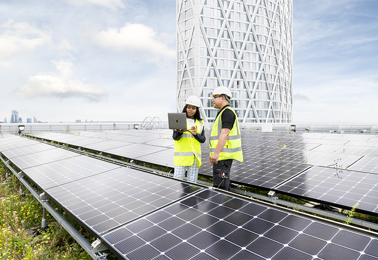 Young engineers inspecting solar panels and green roof