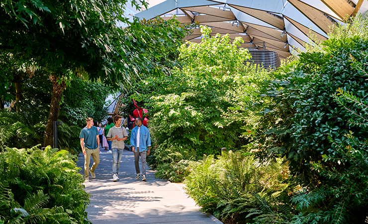 Men walking through Crossrail Place Roof Garden