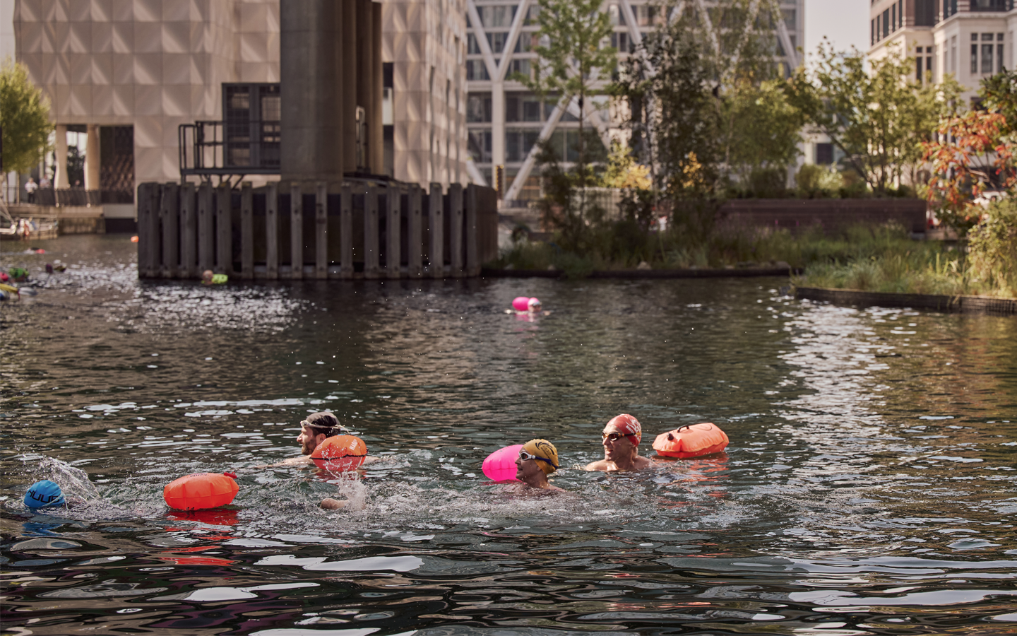 Open Water Swimming at Canary Wharf Eden Dock